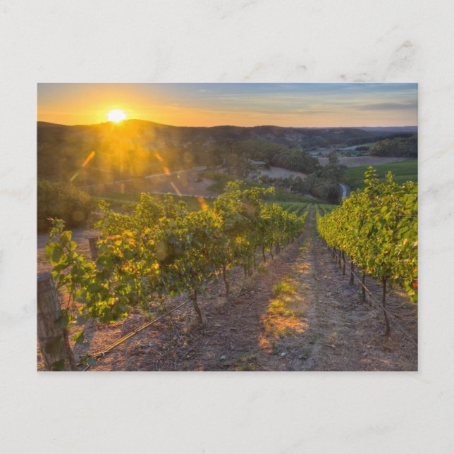 Cartão Postal Austrália do Sul, Colinas de Adelaide, Summertown. (Frente)