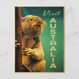 Cartão Postal Austrália Koala