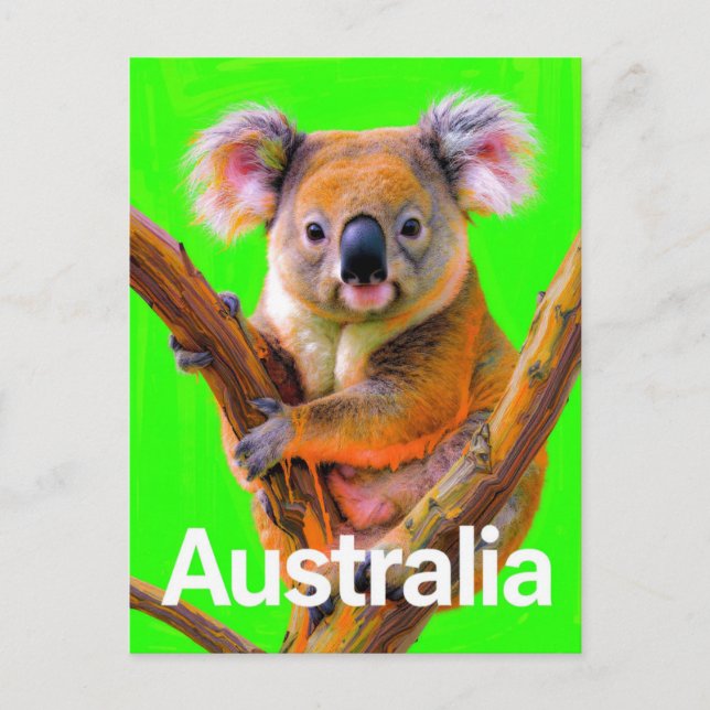 Cartão Postal Australia Koala Bear Pop Art (Frente)