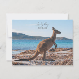 Cartão Postal Austrália Lucky Bay Kangaroo na Foto de Praia