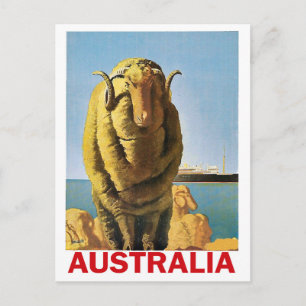 Cartão Postal Austrália, ovelhas na costa