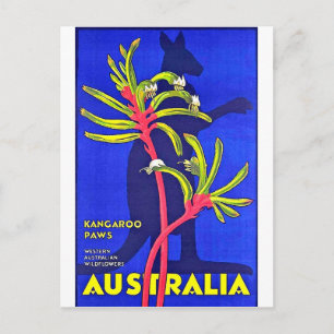 Cartão Postal Austrália, patas de canguru, flores silvestres aus