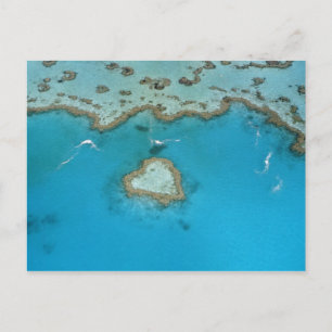 Cartão Postal Austrália, Queensland, Ilhas Whitsunday,