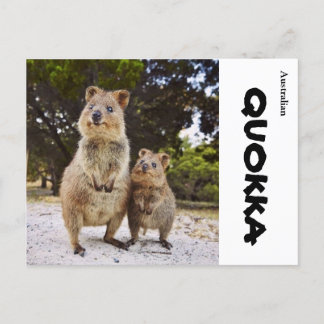Cartão Postal Austrália Quokka