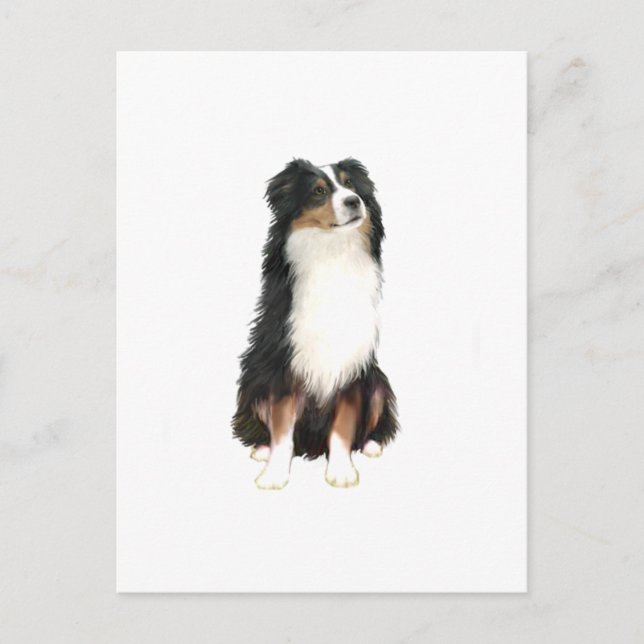 Cartão Postal AUSTRALIAN SHEPHERD (A) - Tri Color (Frente)