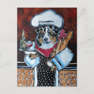 CARTÃO POSTAL AUSTRALIAN SHEPHERD CHEF