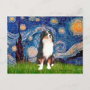 Cartão Postal Australian Shepherd (Tri2) - Noite Estrelada