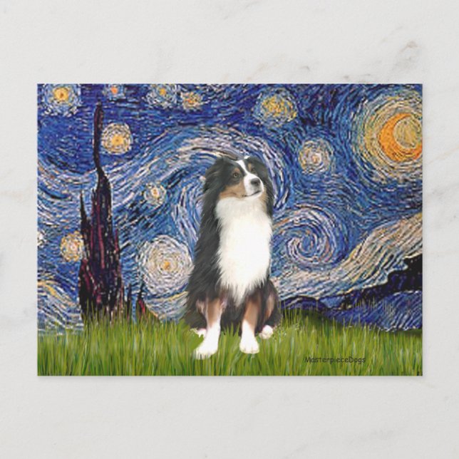 Cartão Postal Australian Shepherd (Tri2) - Noite Estrelada (Frente)