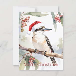 Cartão Postal Australiano Kookaburra Santa Chapéu Feliz Natal