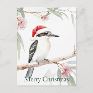 Cartão Postal Australiano Kookaburra Santa Chapéu Feliz Natal