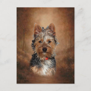 Cartão Postal Australiano Silky Terrier