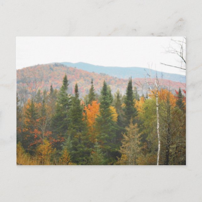 Cartão Postal Autumn Adirondacks Árvores Paisagem (Frente)