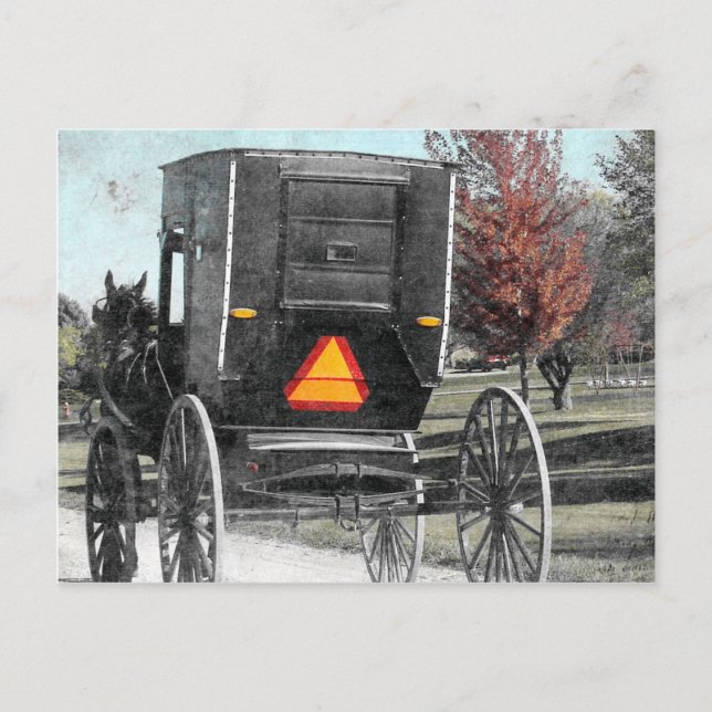 Cartão Postal Autumn Amish Buggy (Frente)