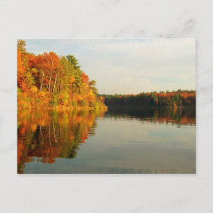 Cartão Postal Autumn at Walden