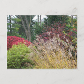 Cartão Postal Autumn Beauty em Ohio