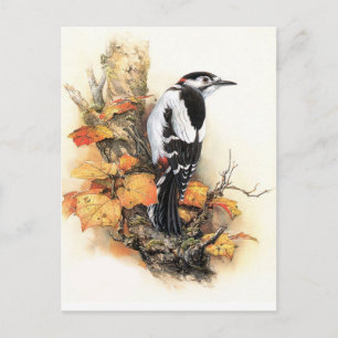 Cartão Postal Autumn Bird