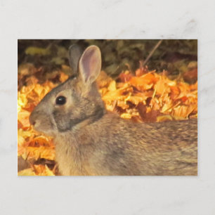 Cartão Postal Autumn Bunny