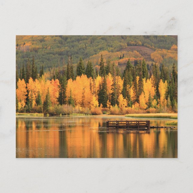 Cartão Postal Autumn Calm (Frente)