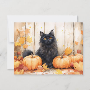 Cartão Postal Autumn Cat e Pumpkins