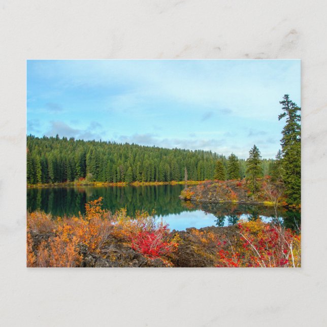 Cartão Postal Autumn em Clear Lake Postcard (Frente)