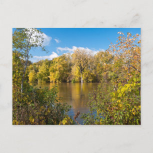 Cartão Postal Autumn Foliage Ao Longo Do Rio Minnesota