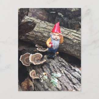 Cartão Postal Autumn Gnomo