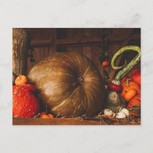 Cartão Postal Autumn Harvest Pumpkins Gourds Ação de Graças Qued