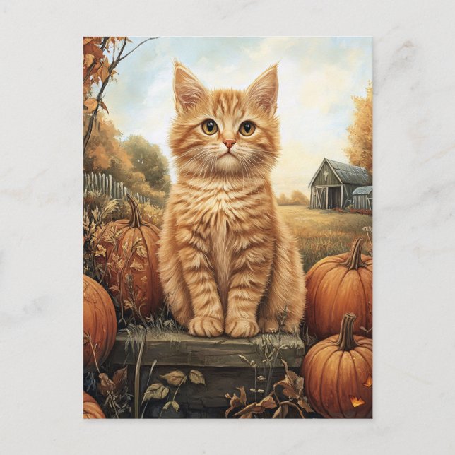 Cartão Postal Autumn Kitten com Pumpkins (Frente)