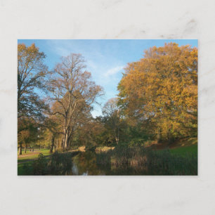 Cartão Postal Autumn Landscape Bute Park Cardiff