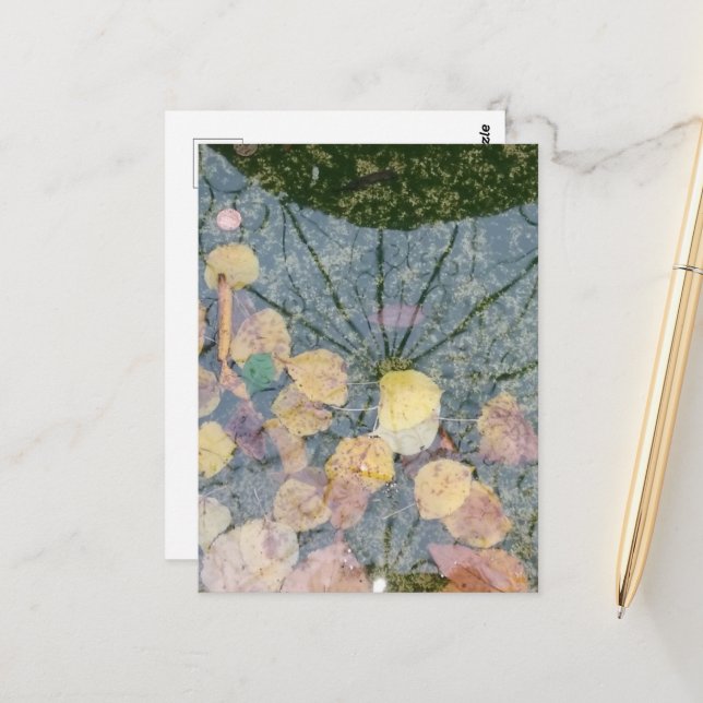 Cartão Postal Autumn leaves in a Pella Iowa Fountain Abstract (Frente/Verso In Situ)