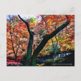 Cartão Postal Autumn Leaves: Kourannkei [Cartão postal]
