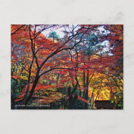 Cartão Postal Autumn Leaves: Kourannkei [Postcard]