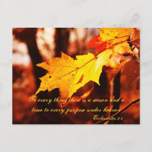 Cartão Postal Autumn Leaves no Poconos Postcard