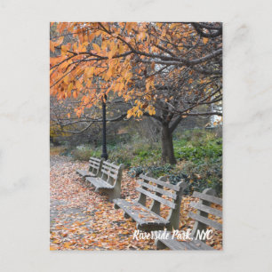Cartão Postal Autumn Leaves Riverside Park Foto Nova Iorque