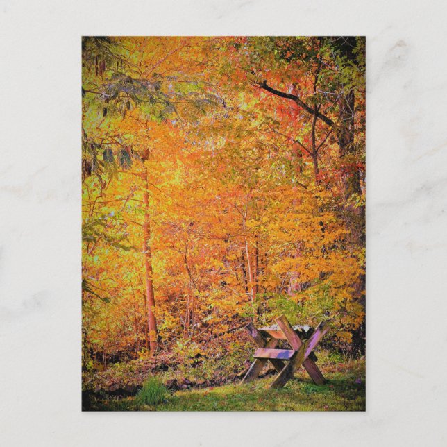 Cartão Postal Autumn Magic (Frente)