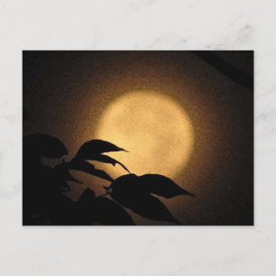 Cartão Postal Autumn Moon