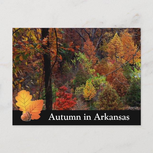 Cartão Postal Autumn no Arkansas / Fotografia de Fall Season (Frente)