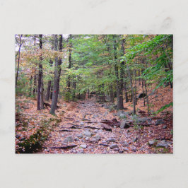 Cartão Postal Autumn on Blue Colinas Reservation Red Dot Trail
