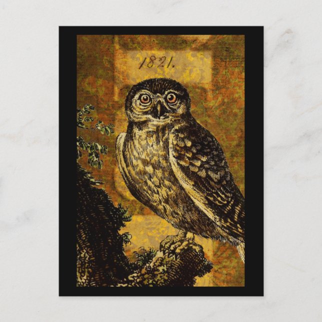 Cartão Postal Autumn Owl (Frente)