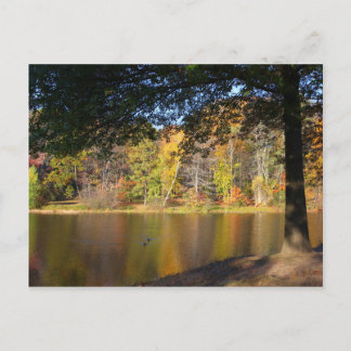 Cartão Postal Autumn Postar Card Rockwell Park Bristol CT