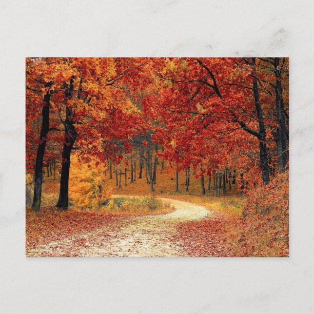 Cartão Postal Autumn Red Season Landscape (Frente)