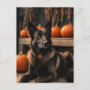 Cartão Postal Autumn Shepherd