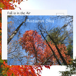 Cartão Postal Autumn Sky Colorful Autumn Trees Fotográfica