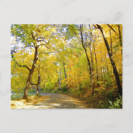 Cartão Postal Autumn Trees 2004 Foto ... Bradley Park