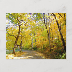 Cartão Postal Autumn Trees 2004 Foto ... Bradley Park