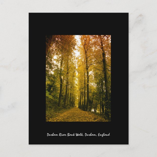 Cartão Postal Autumn Walk (Frente)