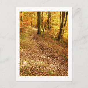 Cartão Postal Autumn Woodland: Cumbria