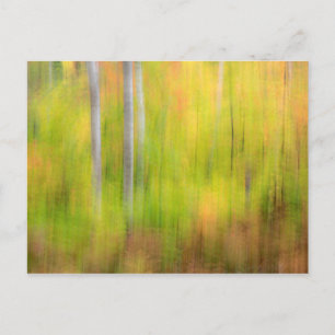 Cartão Postal Autumn Woodland   Michigan, Península Superior