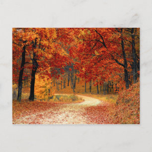 Cartão Postal Autumn Woods