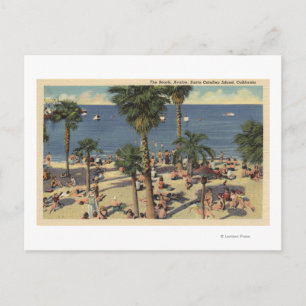 Cartão Postal Avalon View of Beach com Sunbathers